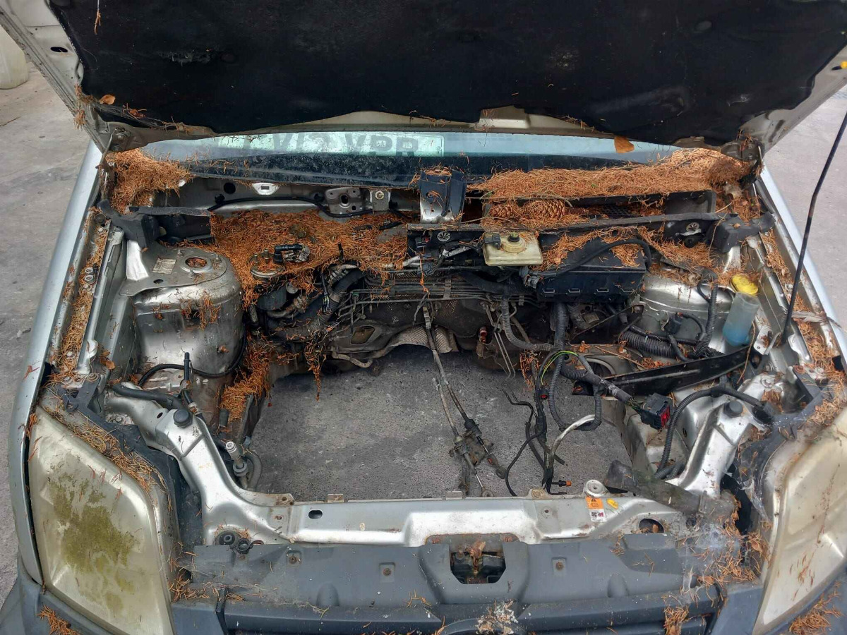 FORD transit connect